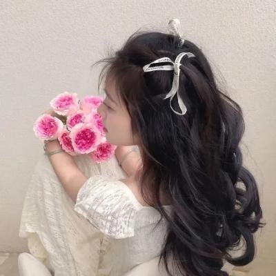 监察局长